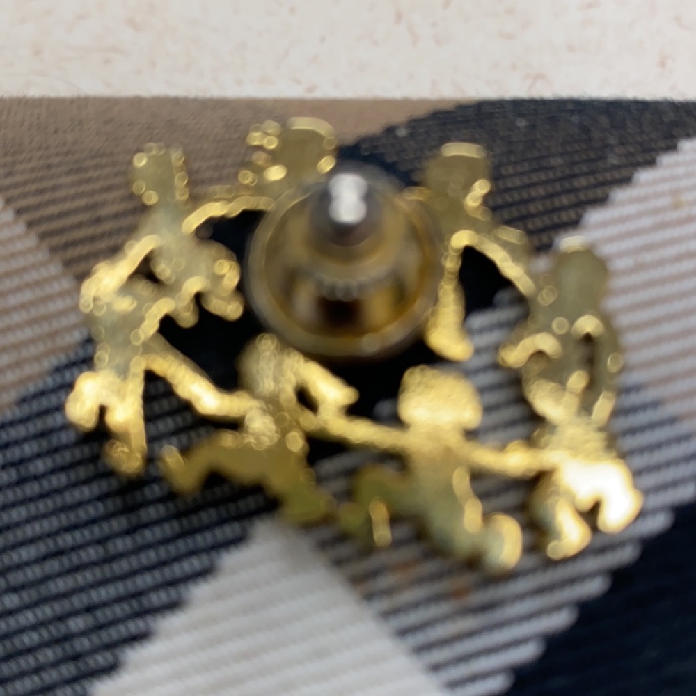 Two Unique Pins - image 7